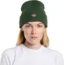 Dickies Kid's Gibsland Beanie, Pine needle green, One Size