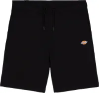 Dickies Men's Short