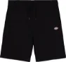 Dickies Men's Short
