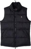 Dickies Men's Waldenburg Vest