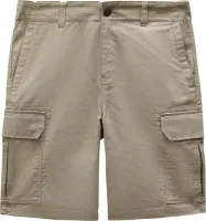 Dickies MILLERVILLE SHORT