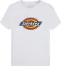 Dickies Youth Logo Tee Knit