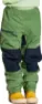 Algae green