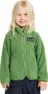 Algae green