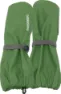 Algae green