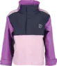 Tulip purple