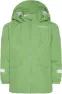 Algae green