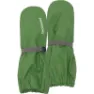 Algae green
