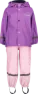 Tulip purple