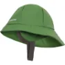 Algae green