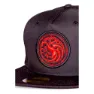 Difuzed Game Of Thrones House Of The Dragon Brodert Emblem Cap, Multicolor, One Size