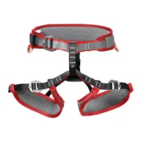 DMM Unisex Tomcat