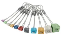 DMM Wallnut 2022-23 DMM Wallnut 2022-23