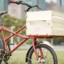 Dom Cargo Sykkel, Red, One Size, Bysykkel