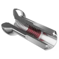 DT Swiss 2,0mm Standard Pro Lock Brass Nippler