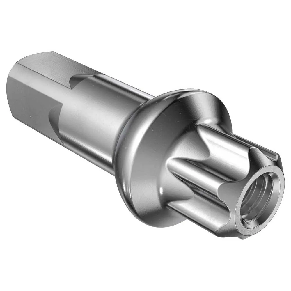 DT Swiss Brass Squorx Pro Head 2.0/fg 2.3 Nipler, Silver, 15mm