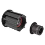 DT Swiss Campagnolo 9-12s 12x142 Mm Disc Freehub-kropp, Black, One Size