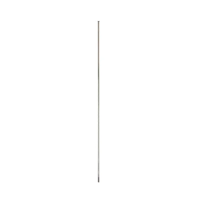DT Swiss Champion 2,0mm Straight Pull Eiker, 282mm