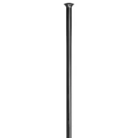 DT Swiss Champion Eiker 2,00mm Straight Pull