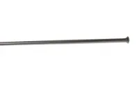DT Swiss Competition race Eger Straight Pull DT Swiss Competition race Eger Straight Pull