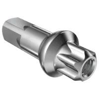DT Swiss DT Squorx Pro Head Eikenippel DT Swiss DT Squorx Pro Head Eikenippel