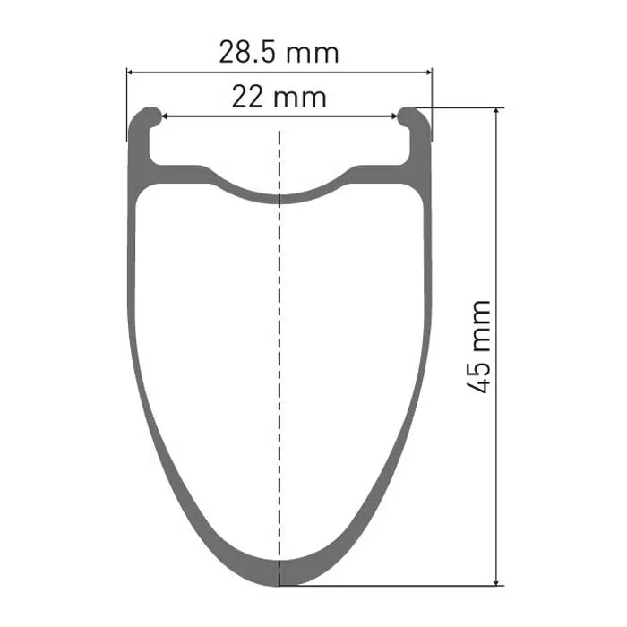 DT Swiss Erc 1100 Dicut 45 Disc Cl Tubeless + Continental Gp5000 Str 700 X 30 Landeveissykkelens Bakhjul, Black, 12 x 142mm, Shimano/Sram HG