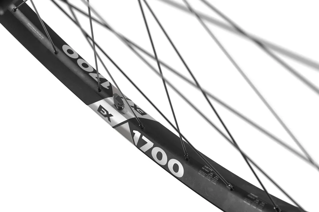 DT Swiss EX 1700 Spline 29" Framhjul