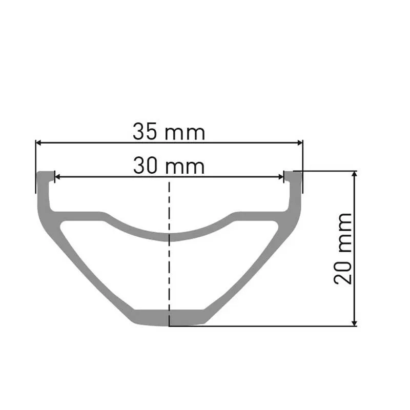 DT Swiss F 1900 Classic 29" Framhjul