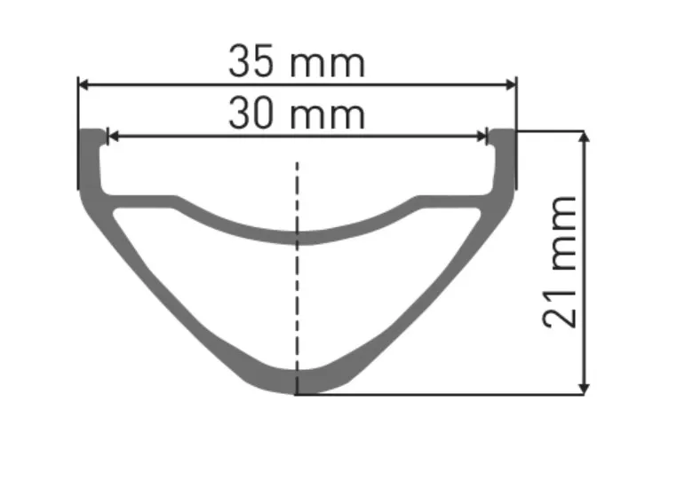 DT Swiss FR 541 Disc 29" Felg