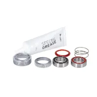DT Swiss Gripetannhjul 54t Ratchet EXP Servicepakke DT Swiss Gripetannhjul 54t Ratchet EXP Servicepakke