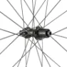 DT Swiss P 1800 Spline Bakhjul