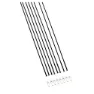 DT Swiss Pr 1600 Spline 23 Eiker, Black, One Size