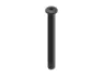DT Swiss Thru Axle RWS Plug-In 15 x 100mm Aksling