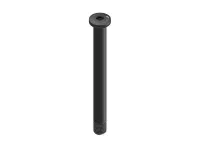 DT Swiss Thru Axle RWS Road u/hendel 12 x 100mm Aksling