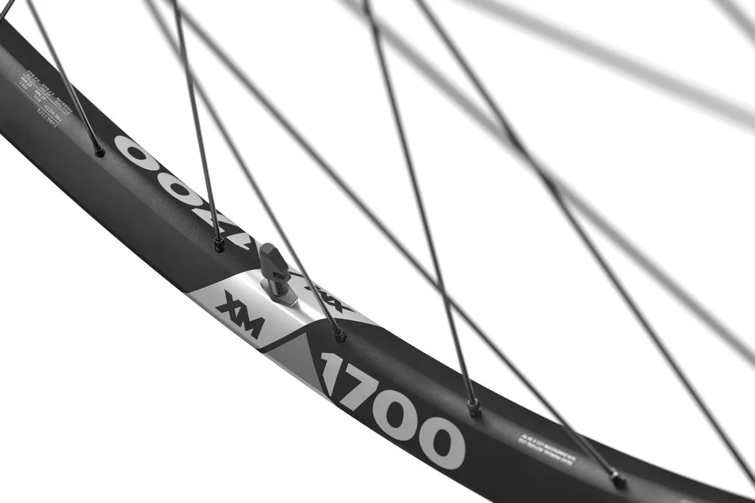 DT Swiss XM 1700 Spline 29" Framhjul, Black, 15 x 110mm DT Swiss XM 1700 Spline 29" Framhjul, Black, 15 x 110mm