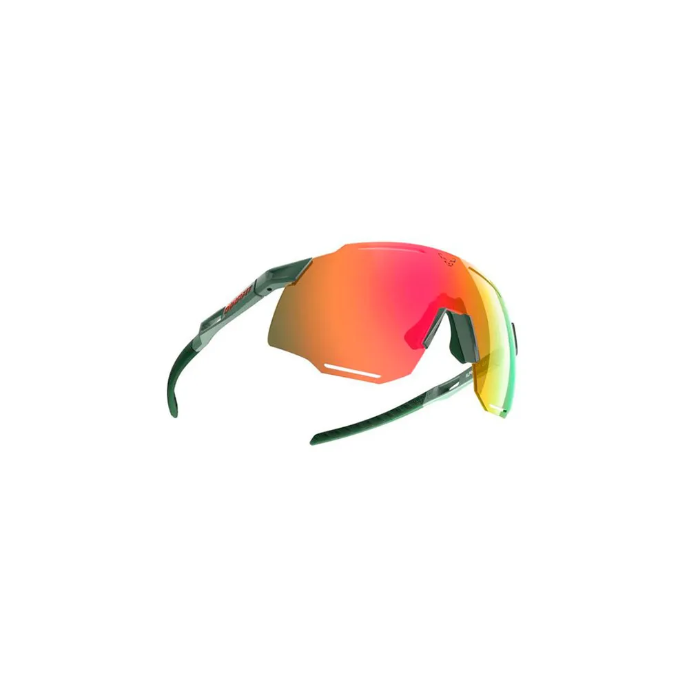 Dynafit Alpine Evo Solbriller, Sage, Thyme/CAT3