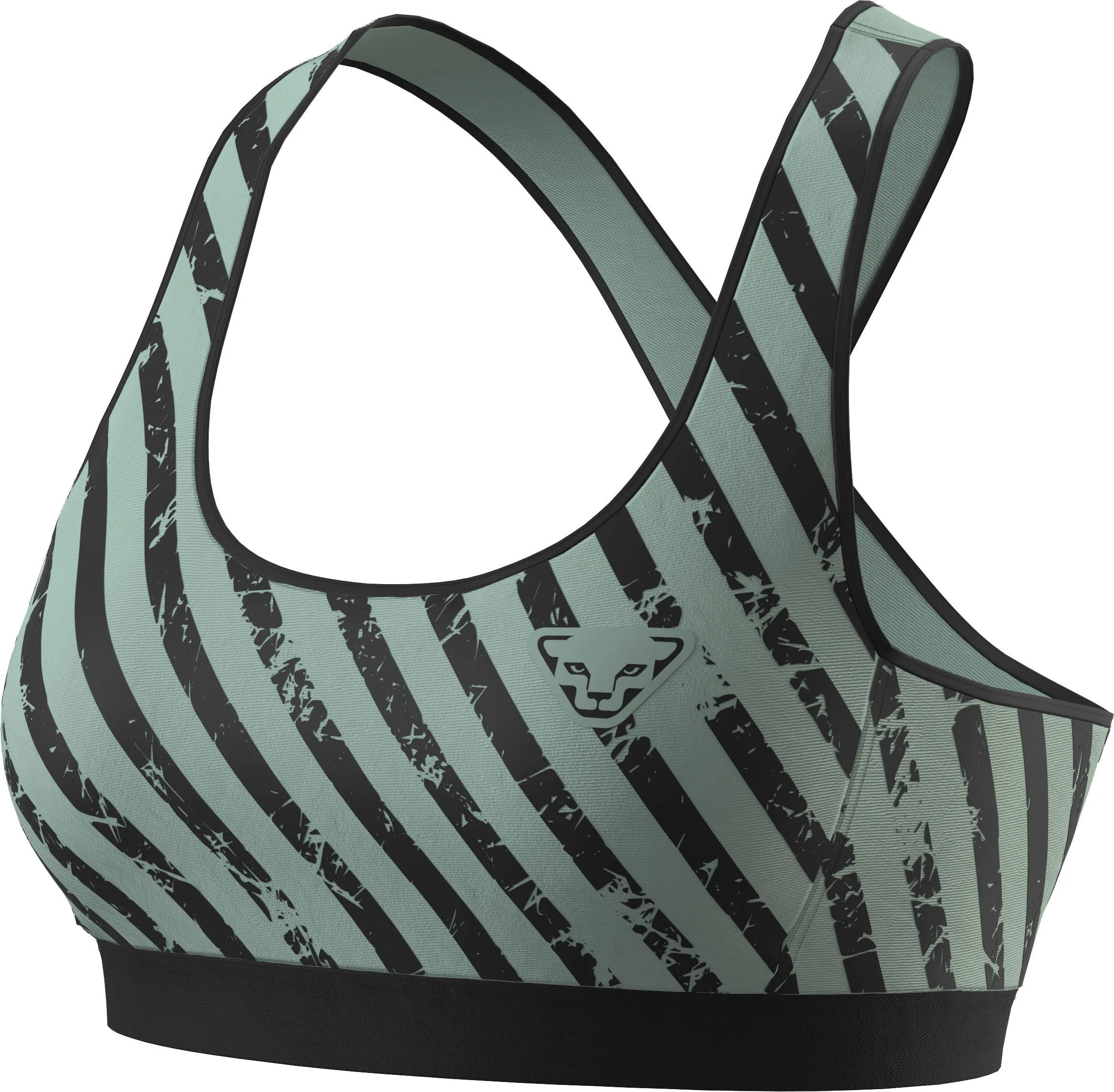 Dynafit Alpine Graphic Bra
