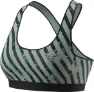 Dynafit Alpine Graphic Bra