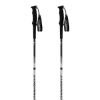 Dynafit Alpine Pro Spaserstokker
