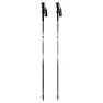 Dynafit Alpine Pro Spaserstokker