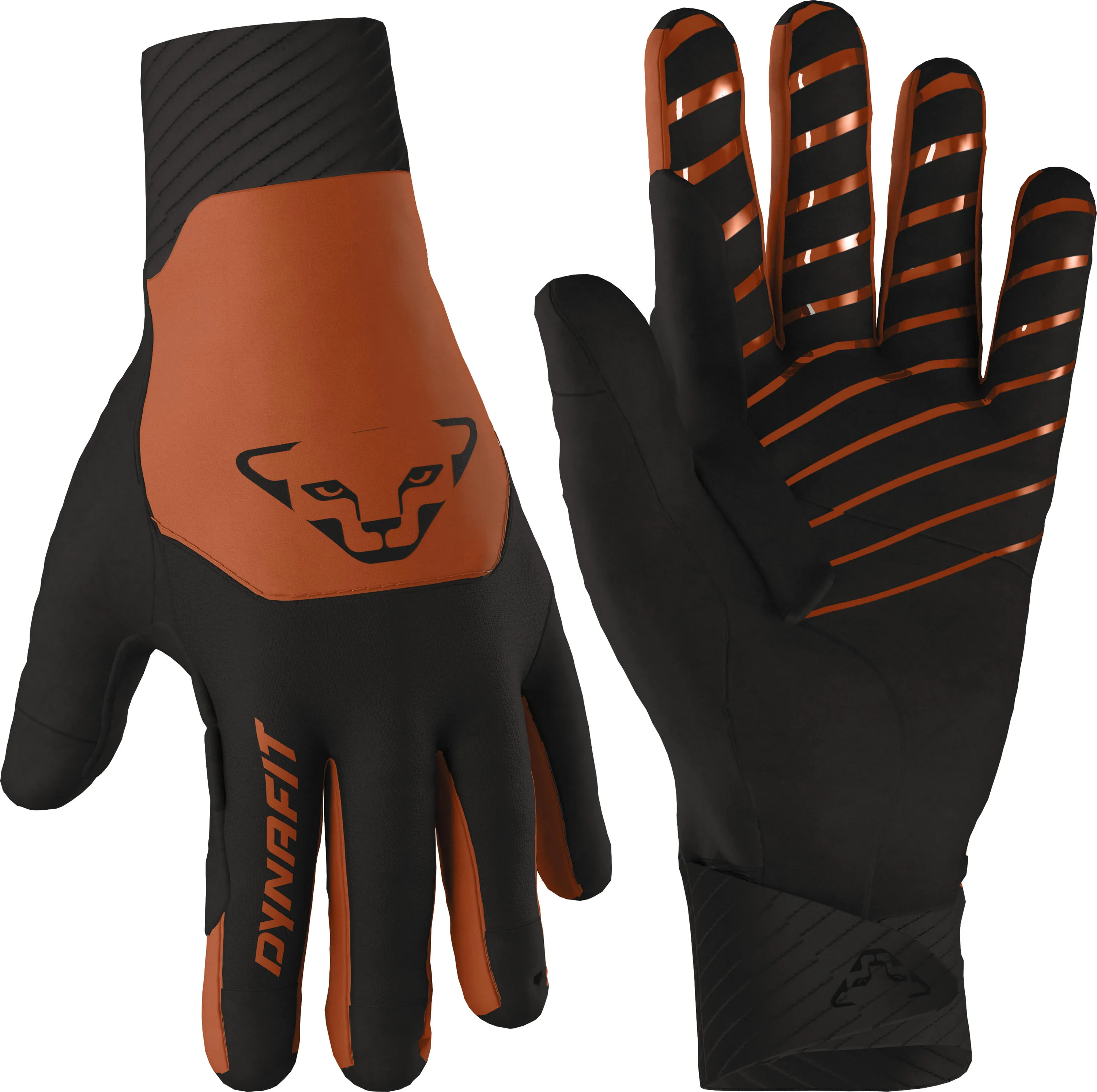 Dynafit Blacklight Softshell Glove Dynafit Blacklight Softshell Glove