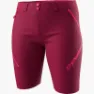 Dynafit Transalper 4´´ Dynastretch Shorts