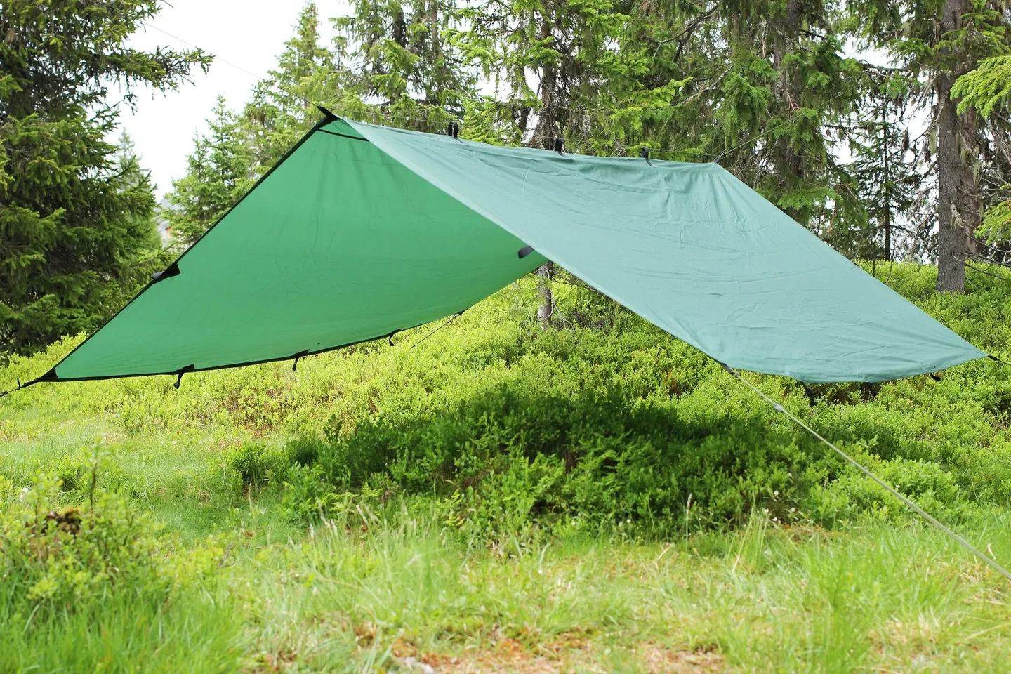 Eagle Products Tarp