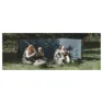 Easy Camp Huk Vindskjerm, Blue, 400cm