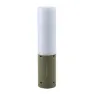Easy Camp Lupin Stringlight Lampe, Green, 260 Lysstyrker