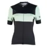 Black / honeydew