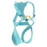 Icemint 2