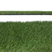 EDM Rull Med Kunstgress 1x5 M 20 Mm unisex EDM Rull Med Kunstgress 1x5 M 20 Mm unisex