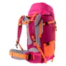 Elbrus Montana 45l Sekk, Pink peacock / granita / bright marigold