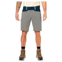 Elevenate Summit Shorts